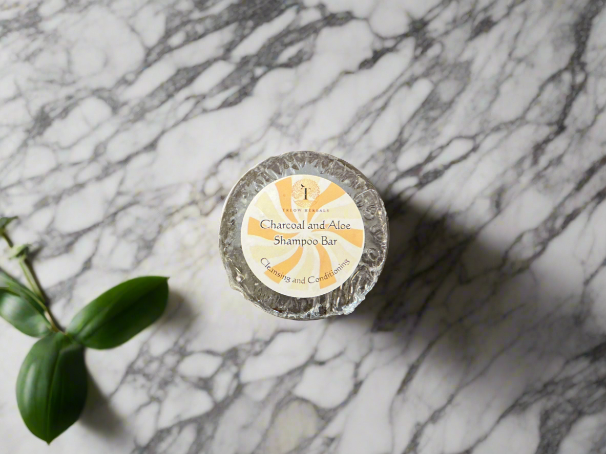 Charcoal and Aloe Shampoo Bar